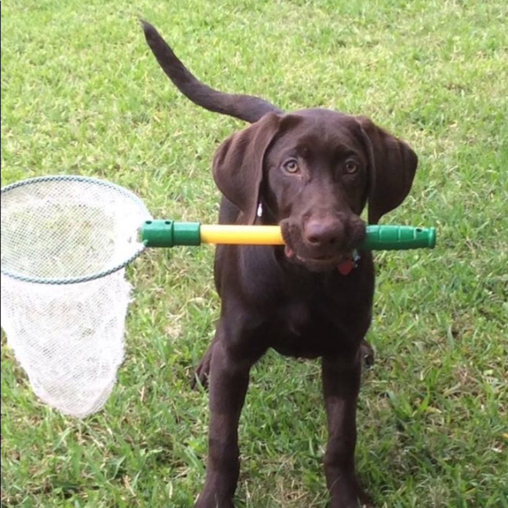 Meet your Posher, Farid